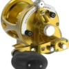 Avet Reels Avet LX G2 6/3 MC 2-Speed Reel Gold