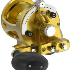 Avet Reels Avet LX G2 6/3 MC 2-Speed Reel Gold