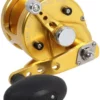 Avet Reels Avet MXJ 5.8 G2 MC 1 Speed Reel - Gold (No Glide Plate)
