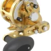 Avet Reels Avet MXJ G2 6/4 MC 2-Speed Reel Gold