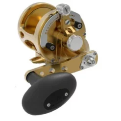 Avet Reels Avet MXL G2 5.8 Single Speed Reel Gold