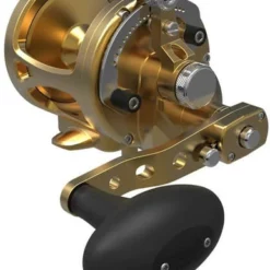 Avet Reels Avet MXL G2 6/4 2-Speed Reel Gold
