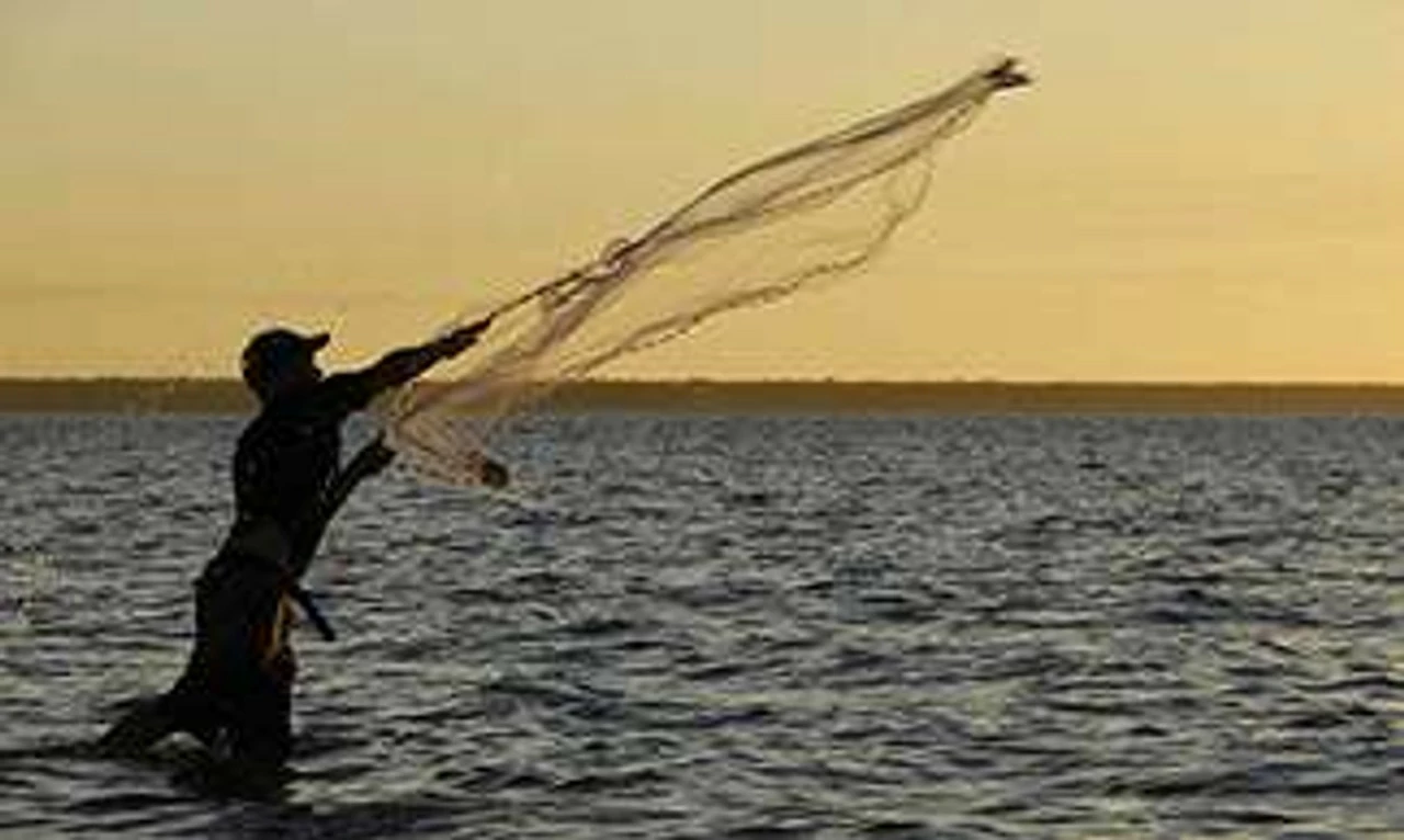 Betts Blue Casting Nets