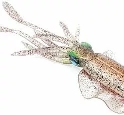 Chasebaits Monster Ultimate Squid - 11.8in - Market Squid