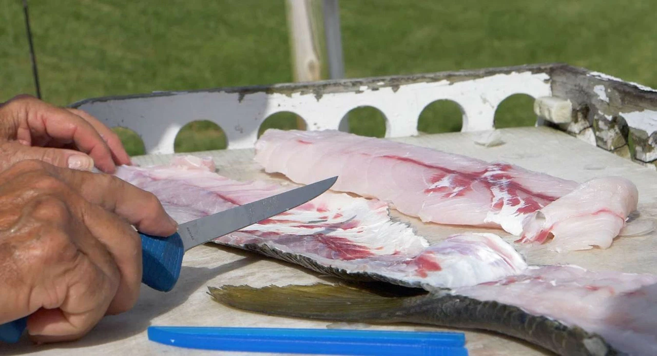 Cuda AquaTuff Fillet Knifes With Blade Cover - Image 6