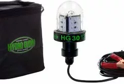 Hydro Glow Deep Water LED Fish Light - Green Globe Style