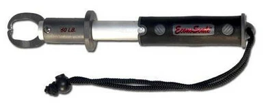 Evolution EC50BP EconoScale