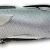 LIVETARGET Mullet Hollow Body Lures