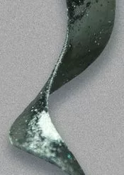 Otter Lure And Tackle Otter Lure & Tackle CS - Curly Short Tail 4 3/4 X 1/2in 10 Pack Black