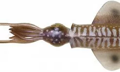 Savage Gear 3D Swim Squid LB - 5in - Cuttlefish