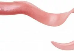 Savage Gear Real Eel Replacement Bodies