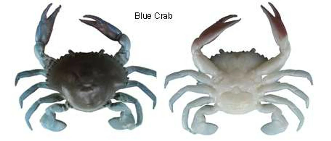 Savage Gear TPE 3D Crab Lures - Image 2