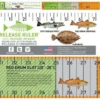 Texas Inshore Slam Release Ruler Decal