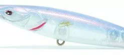 Xorus XOATRS0110FL40V Asturie SW Lure